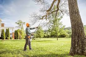 Best Weed Control  in Bargersville, IN